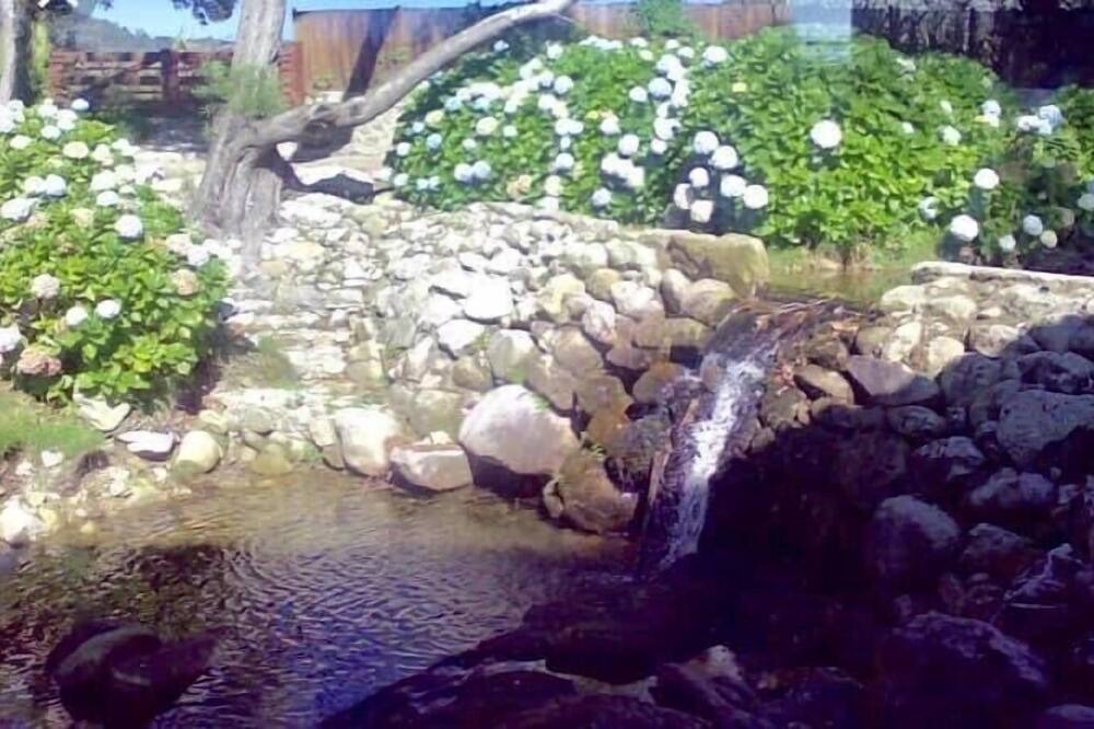 Photo of Outdoor in Viana do Castelo
