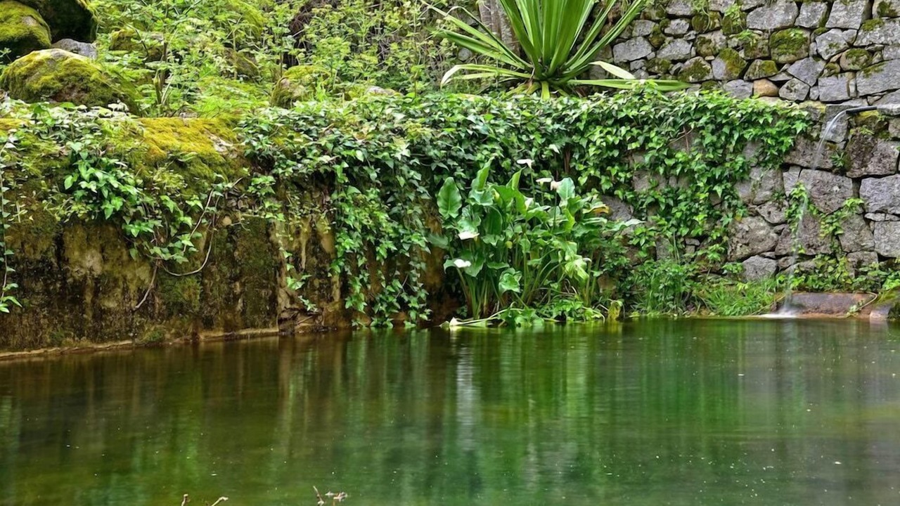 Photo of Outdoor in Caldas de Monchique