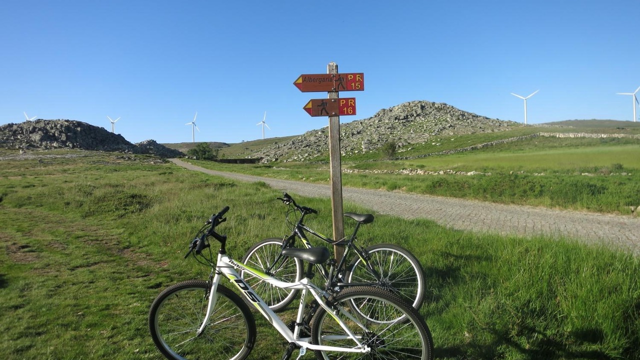 Photo of Outdoor in Arouca
