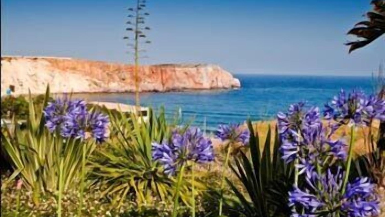 Photo of Others in Sagres