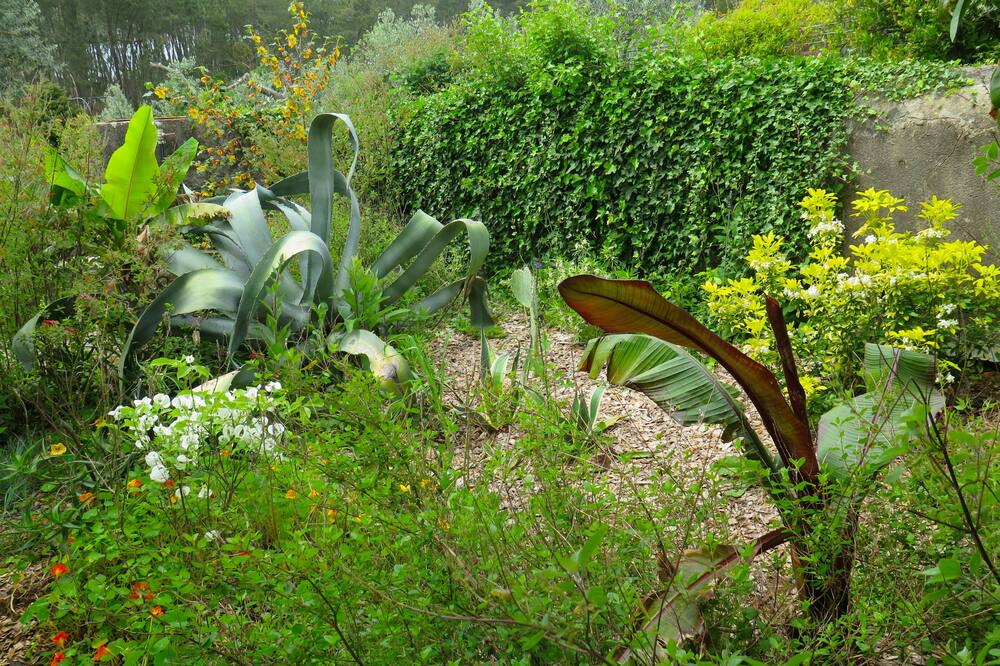 Photo of Outdoor in Pedrogao Grande