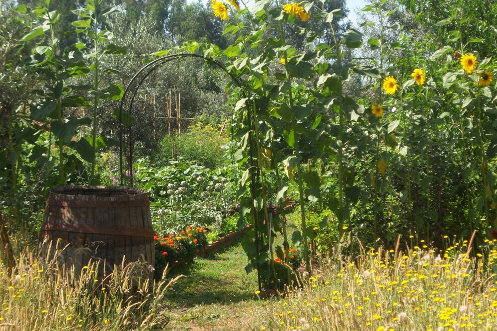Photo of Outdoor in Pedrogao Grande