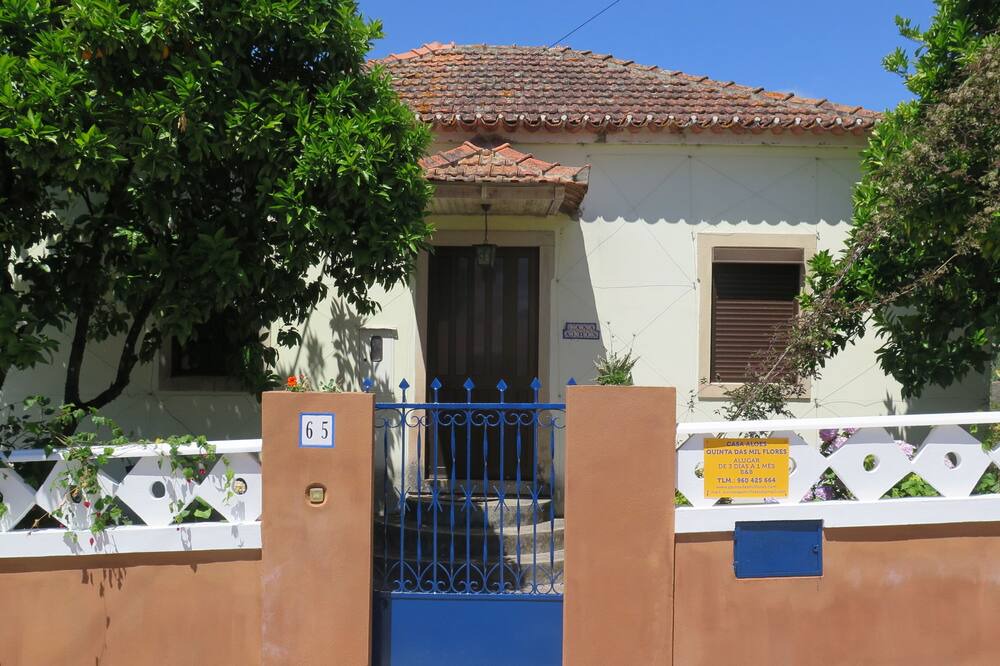 Photo of Outdoor in Pedrogao Grande