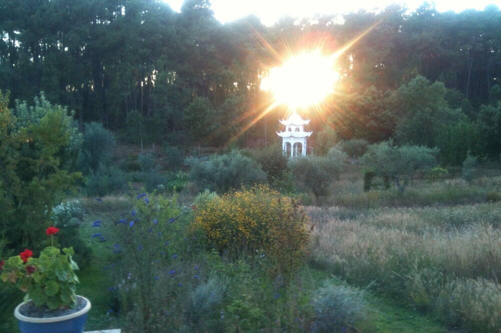 Photo of Outdoor in Pedrogao Grande