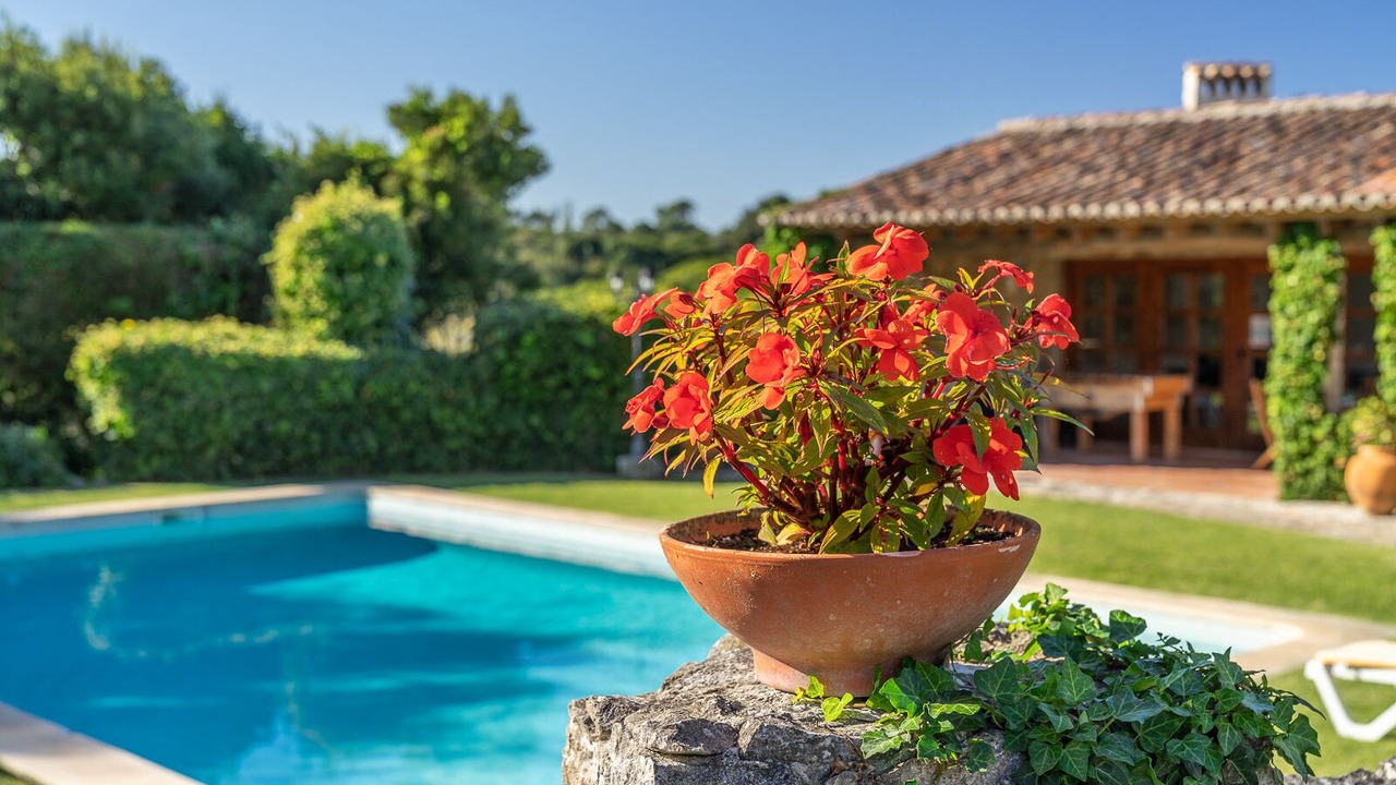 Photo of Outdoor in Reguengo Grande