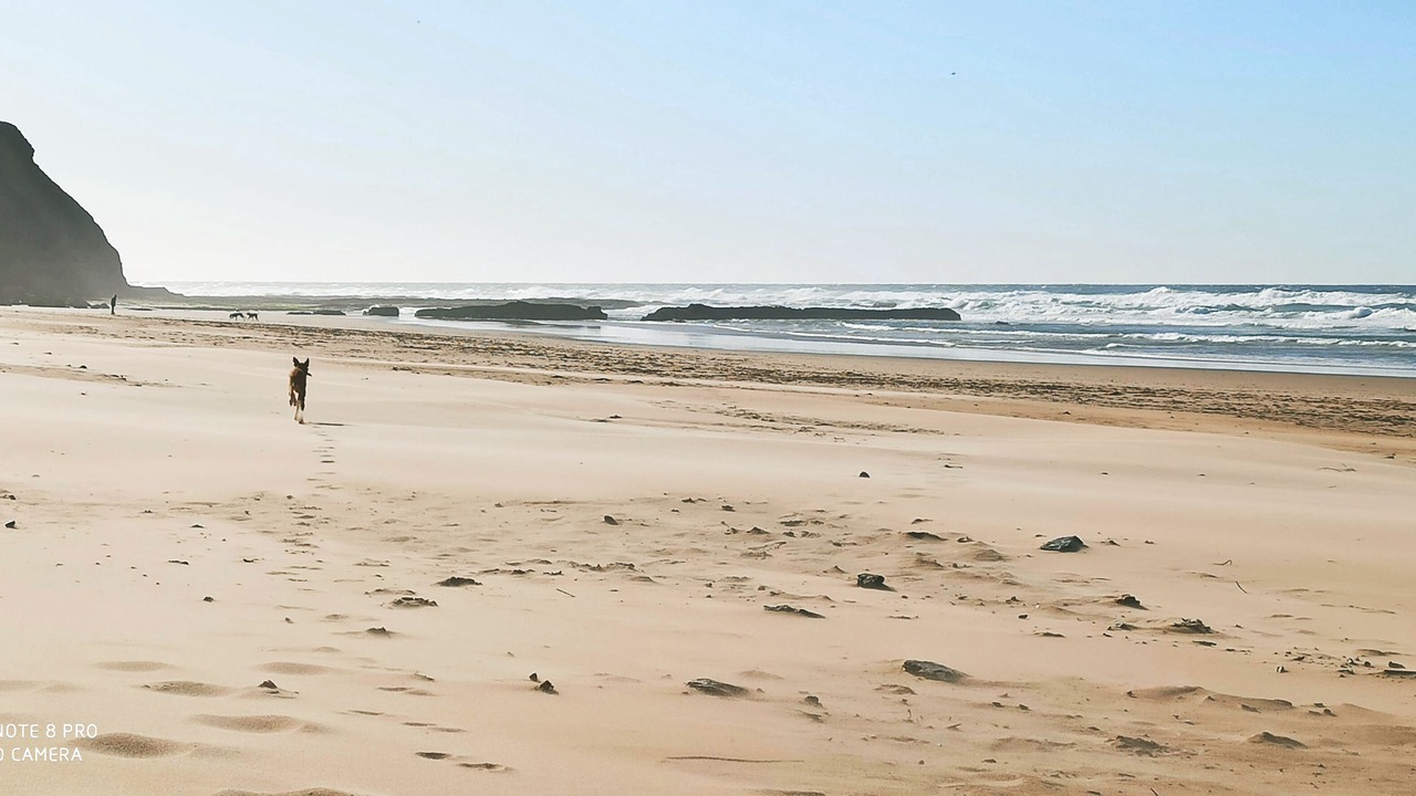 Photo of Others in Aljezur