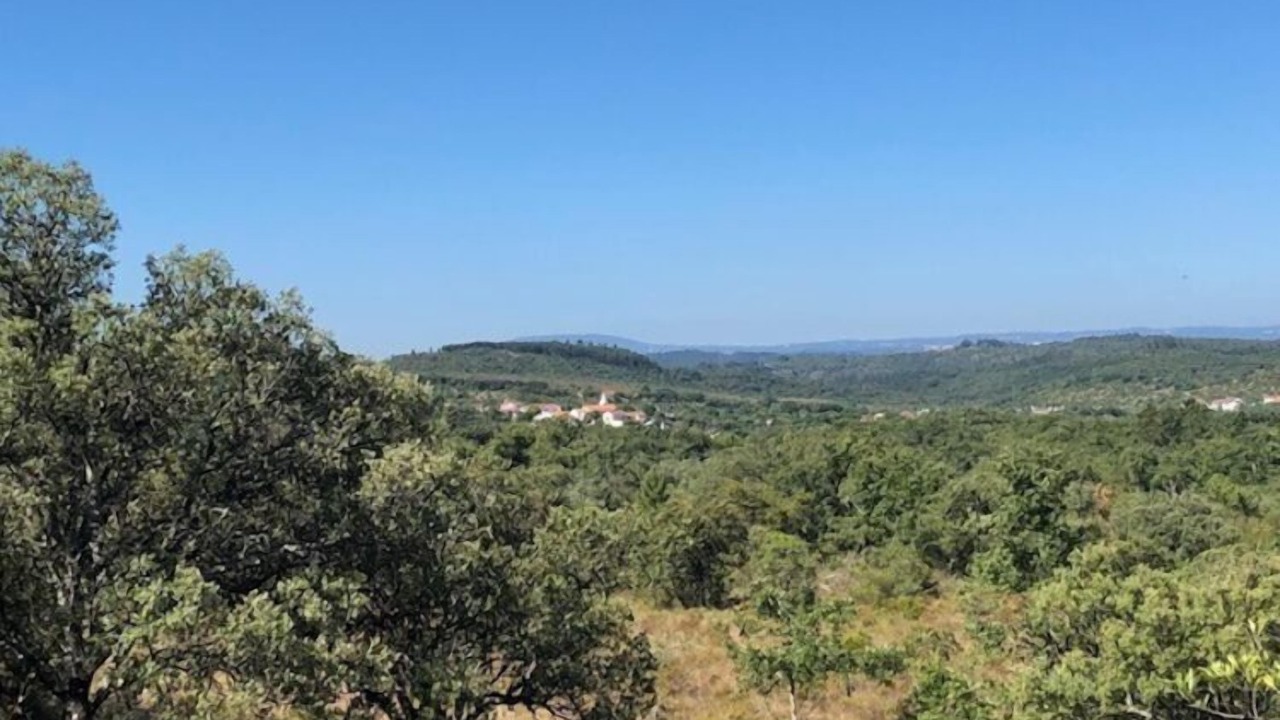 Photo of Outdoor in Ferreira do Zezere