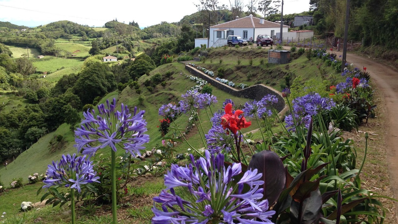 Photo of Outdoor in Santo Espirito