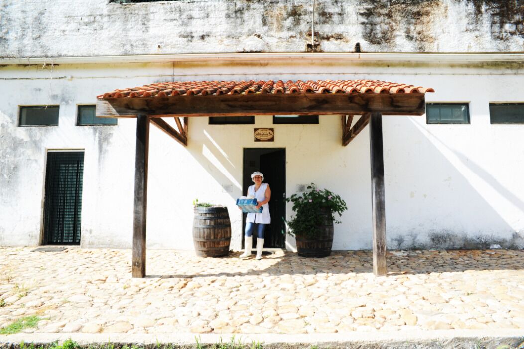 Photo of Bedroom in Sao Martinho da Cortica