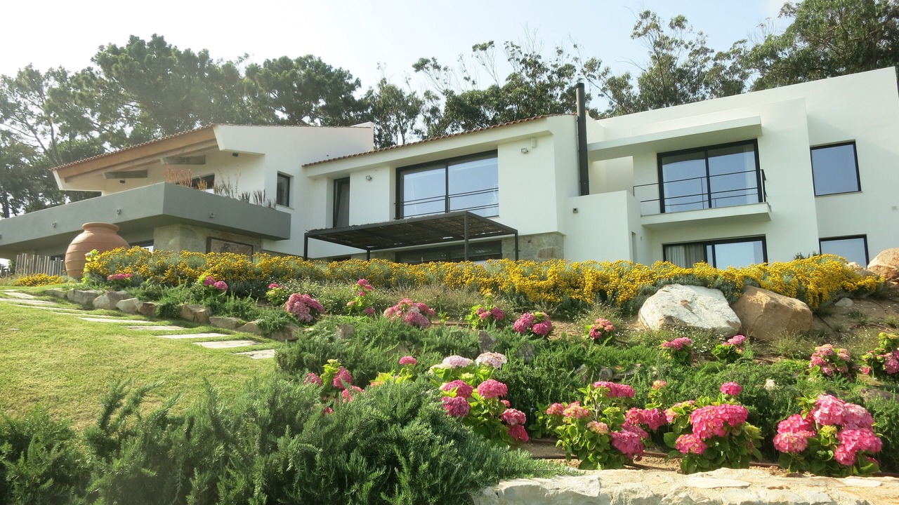 Photo of Outdoor in Azoia