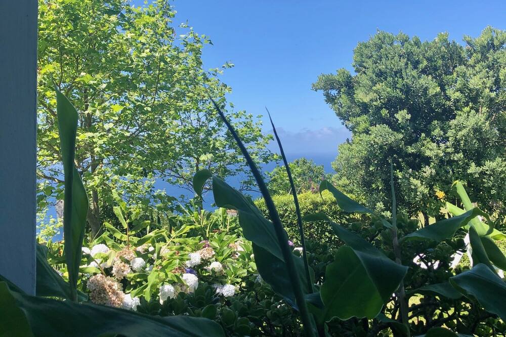 Photo of Outdoor in Mosteiros