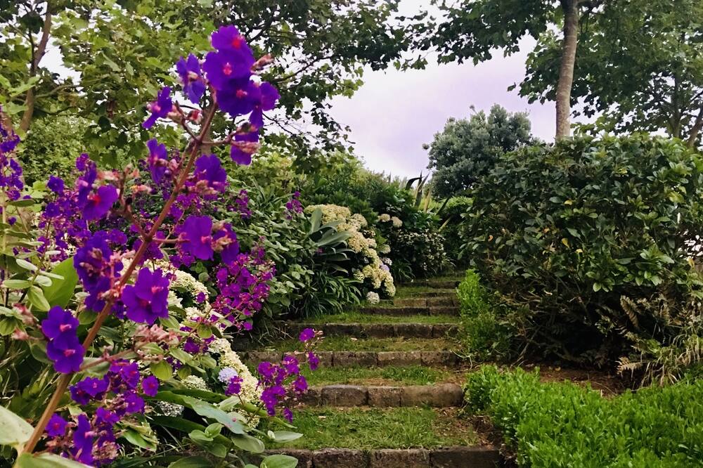 Photo of Outdoor in Mosteiros