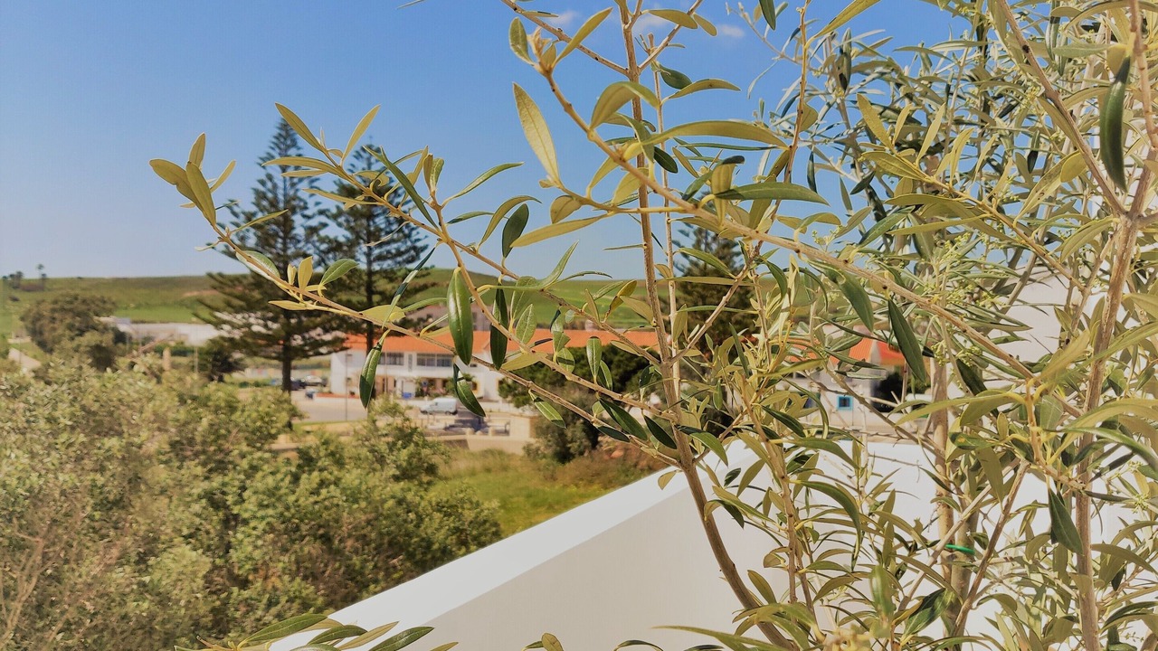 Photo of Outdoor in Vila do Bispo