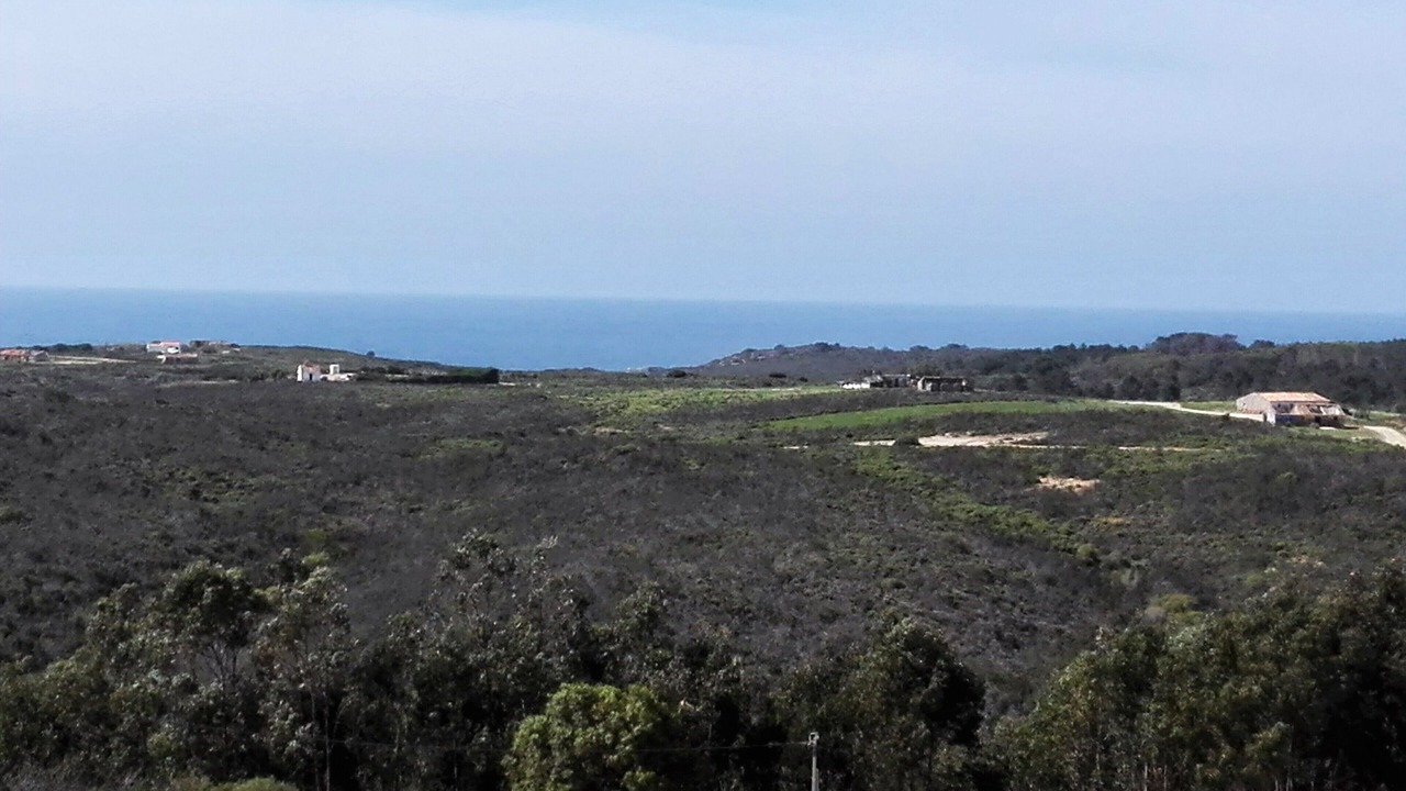 Photo of Others in Aljezur