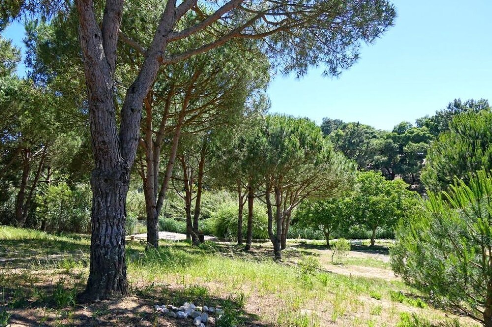 Photo of Outdoor in Meco