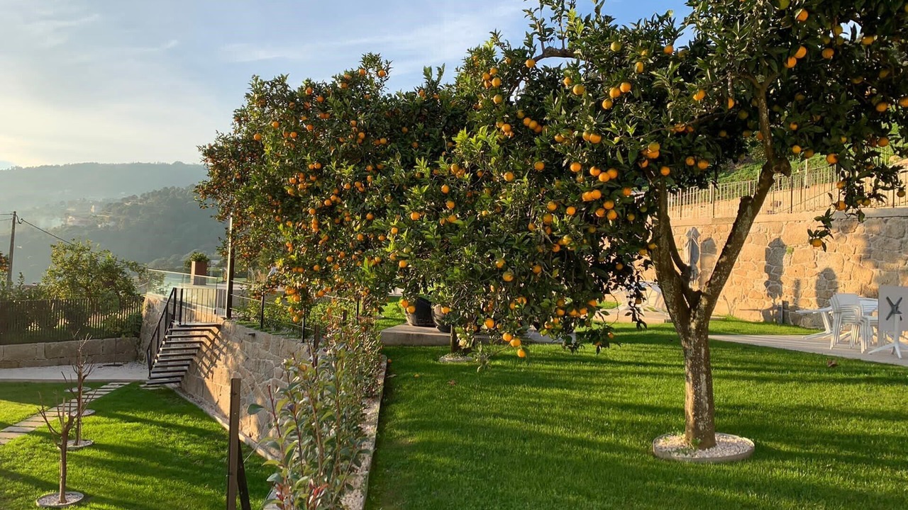 Photo of Outdoor in Ribadouro