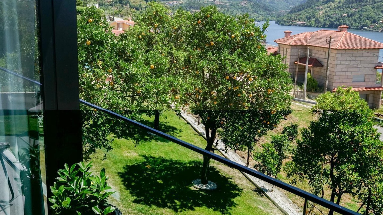 Photo of Patio Balcony in Ribadouro