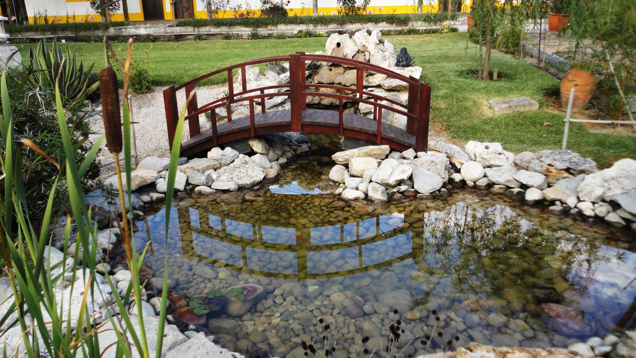 Photo of Outdoor in Peniche