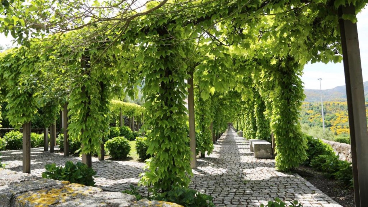 Photo of Outdoor in Linhares