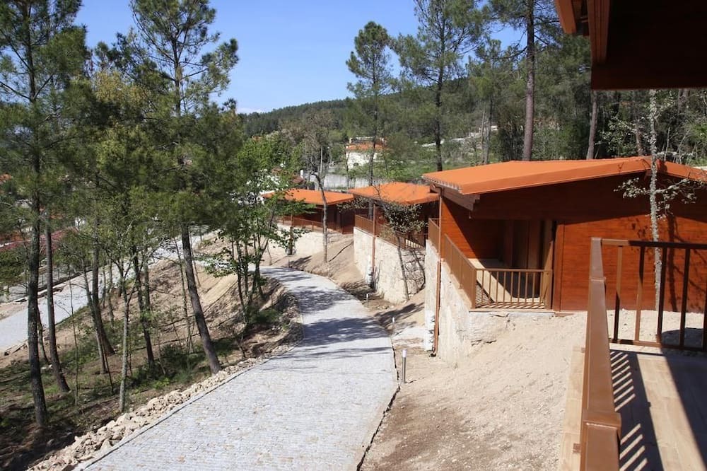 Photo of Outdoor in Tarouca