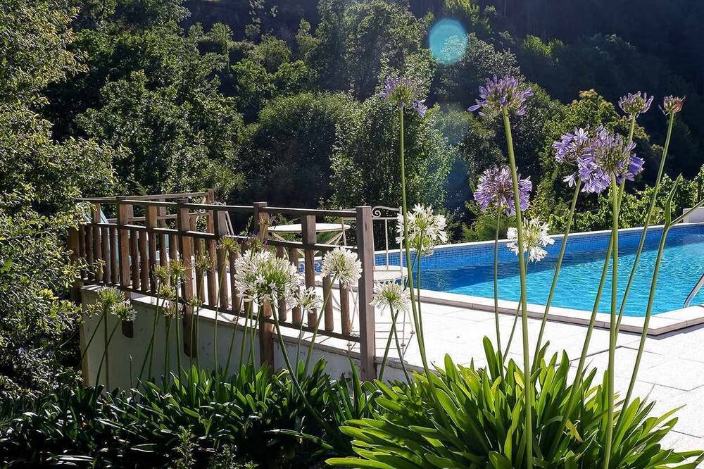 Photo of Outdoor in Camelo