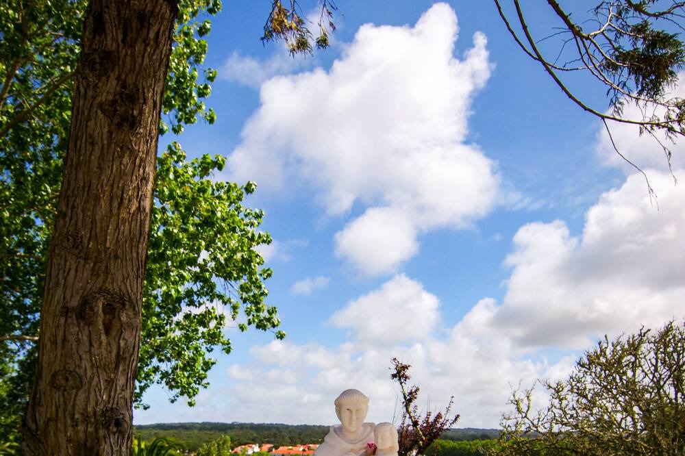 Photo of Outdoor in Banzao