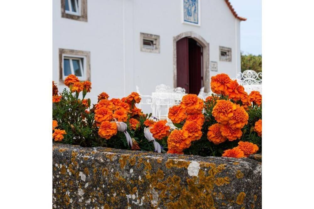 Photo of Outdoor in Banzao