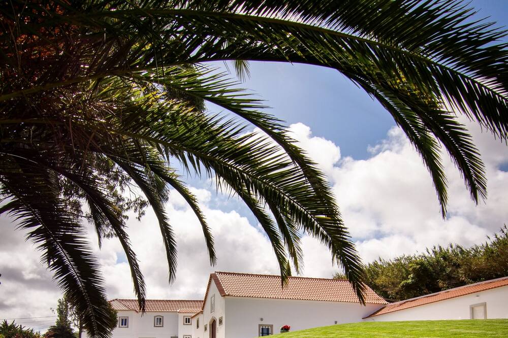 Photo of Outdoor in Banzao