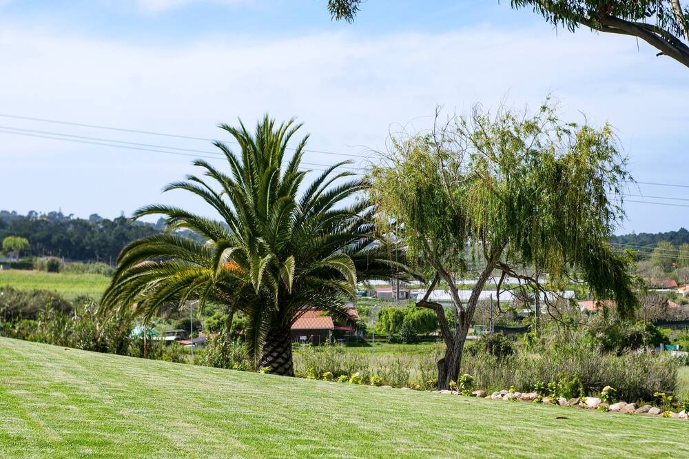 Photo of Outdoor in Banzao