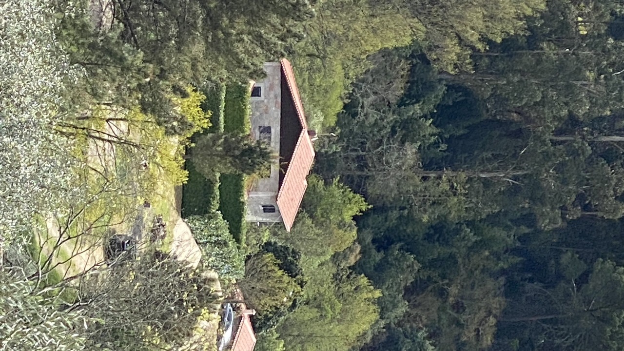 Photo of Outdoor in Insua