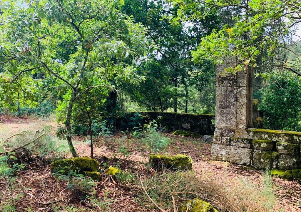 Photo of Outdoor in Insua