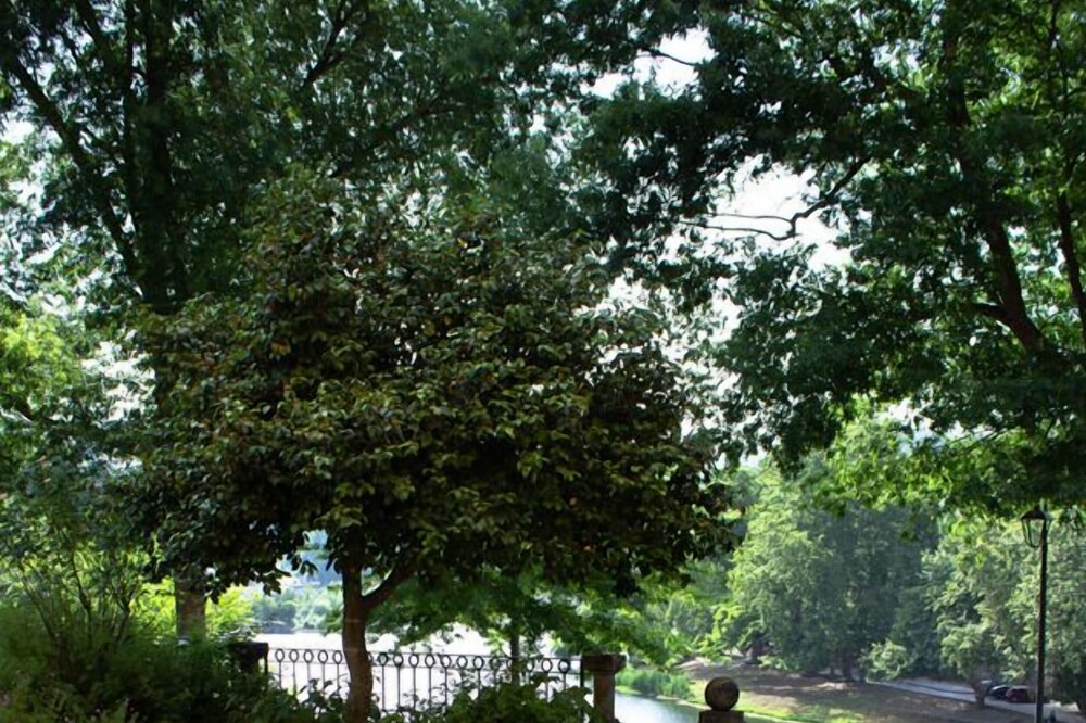 Photo of Outdoor in Amarante