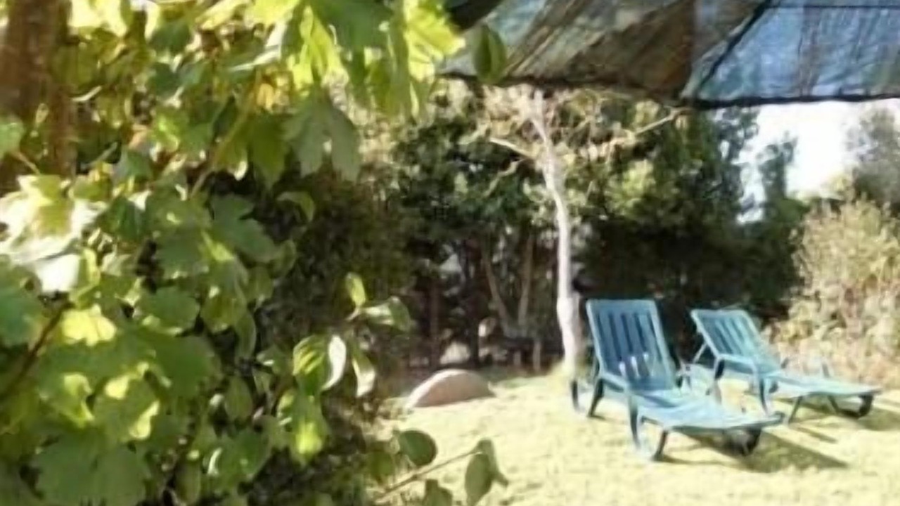 Photo of Outdoor in Santiago do Cacem