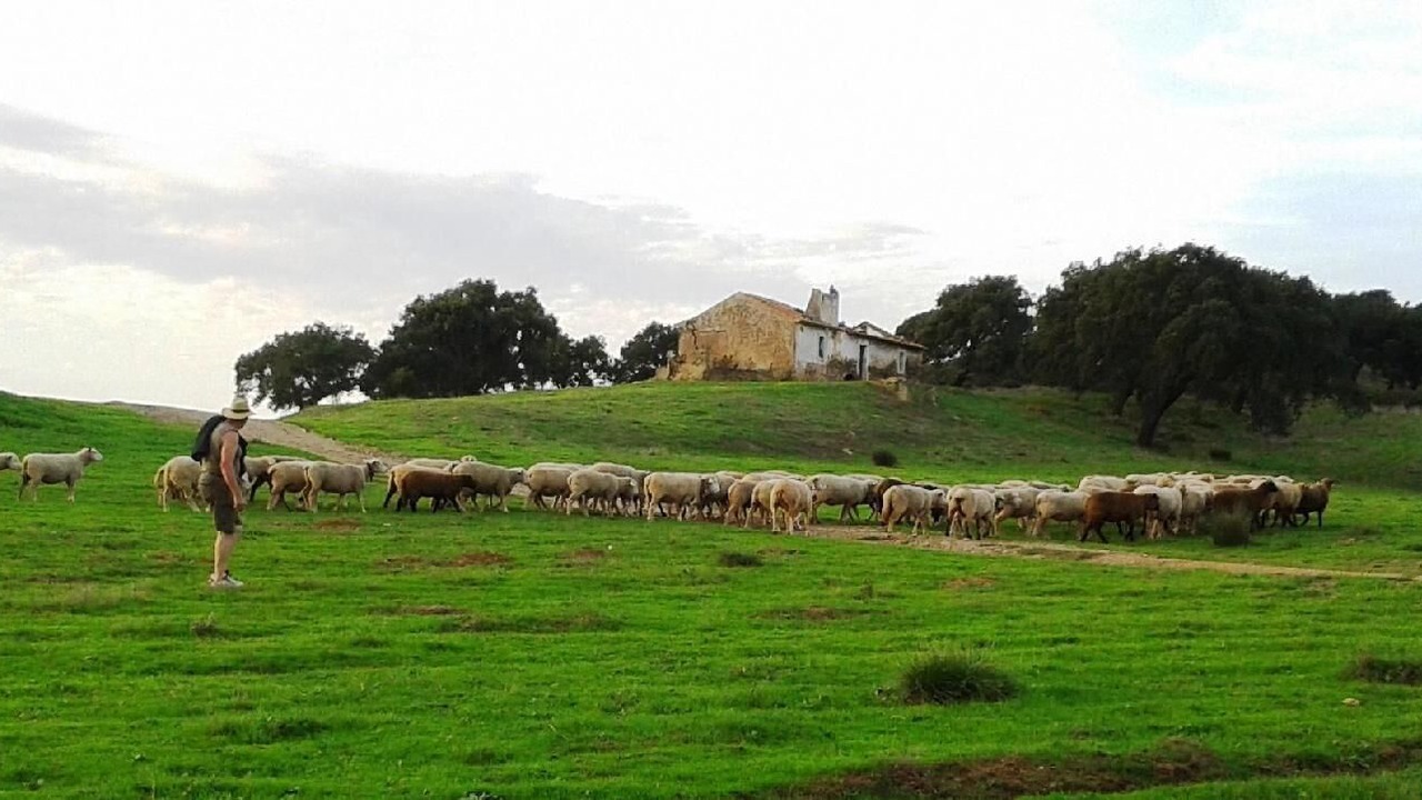 Photo of Outdoor in Santiago do Cacem