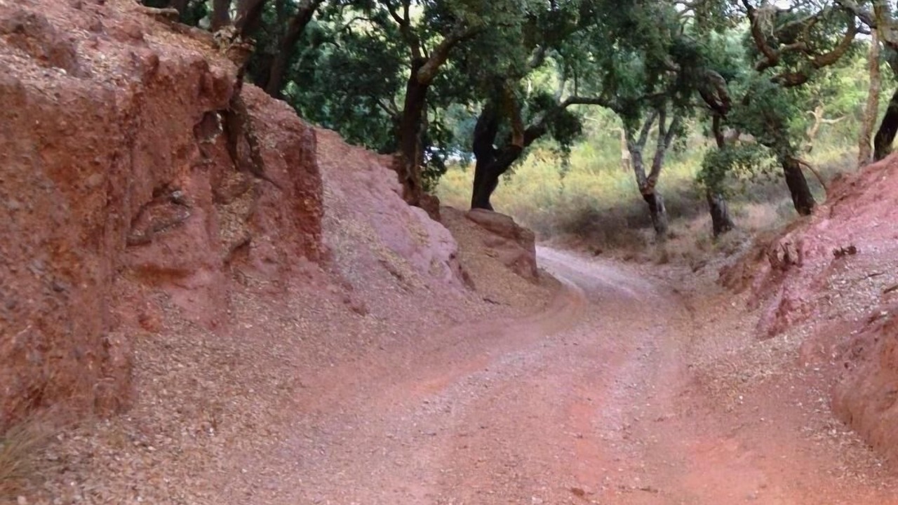 Photo of Outdoor in Santiago do Cacem