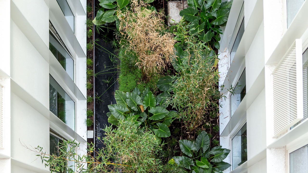 Photo of Outdoor in Sao Paulo