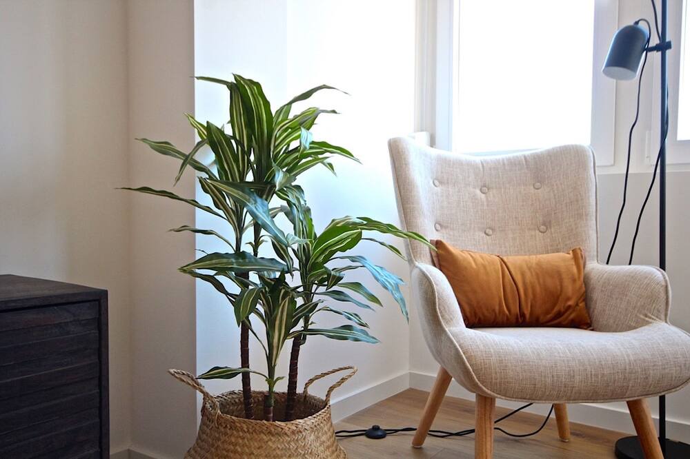 Photo of Livingroom in Sao Joao de Deus