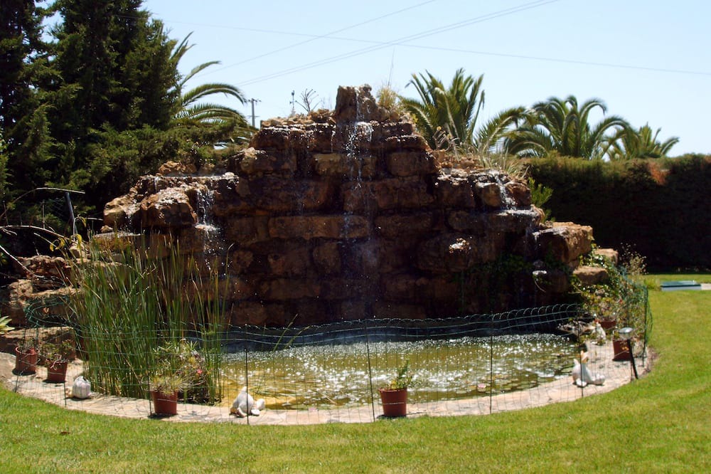 Photo of Outdoor in Caramujeira