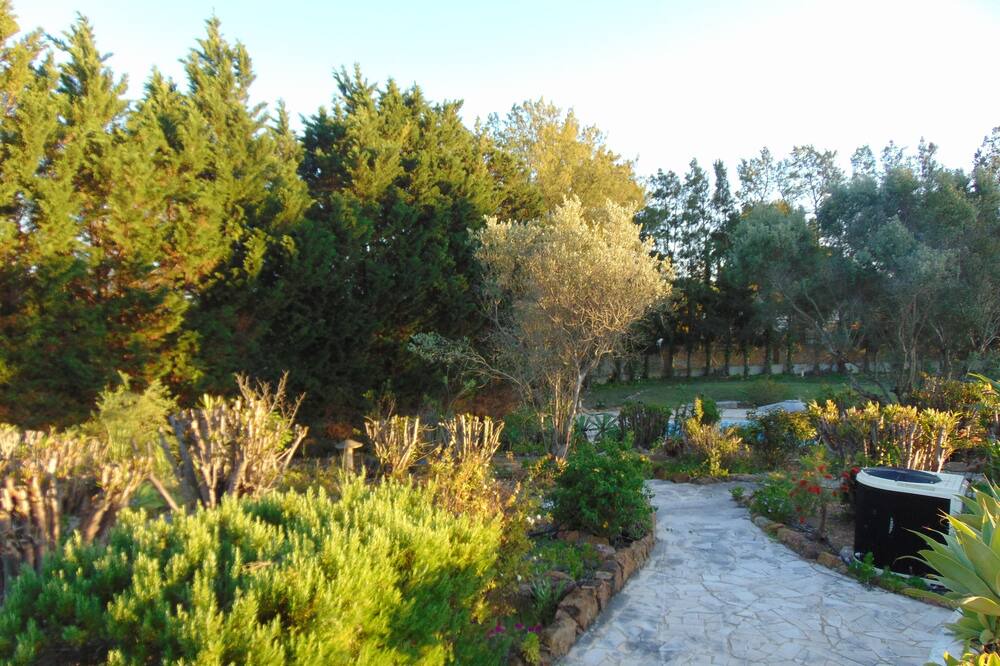 Photo of Outdoor in Caramujeira