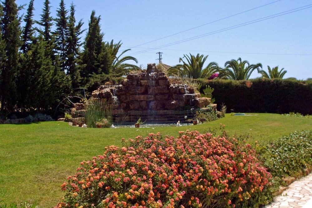 Photo of Outdoor in Caramujeira