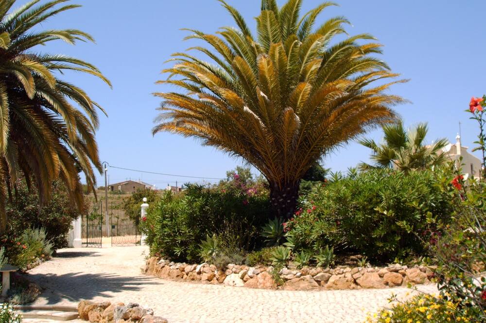 Photo of Outdoor in Caramujeira