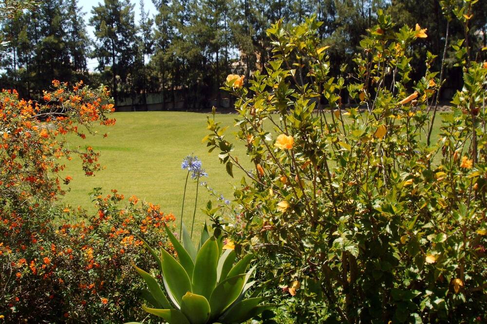 Photo of Outdoor in Caramujeira