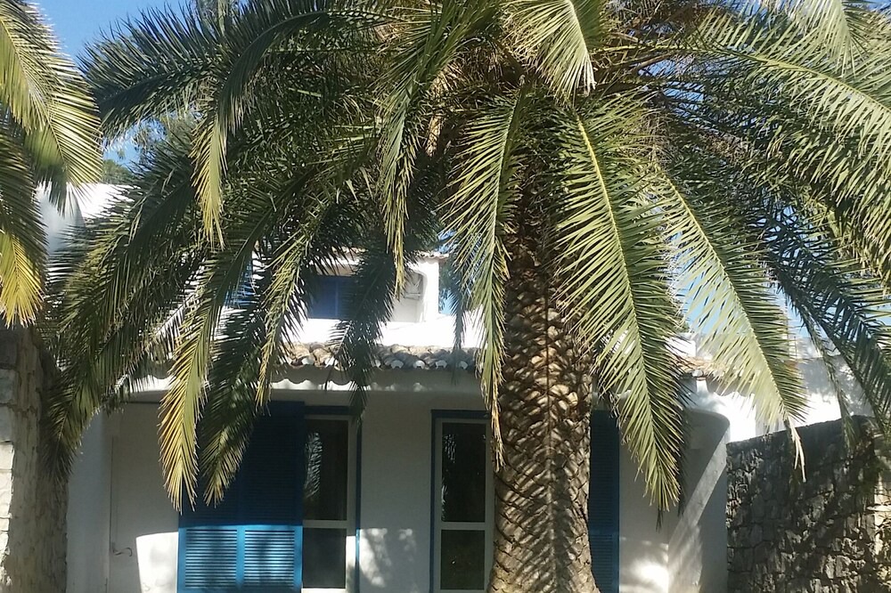 Photo of Outdoor in Branqueira