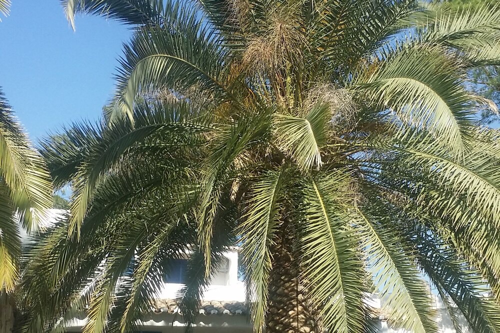 Photo of Outdoor in Branqueira
