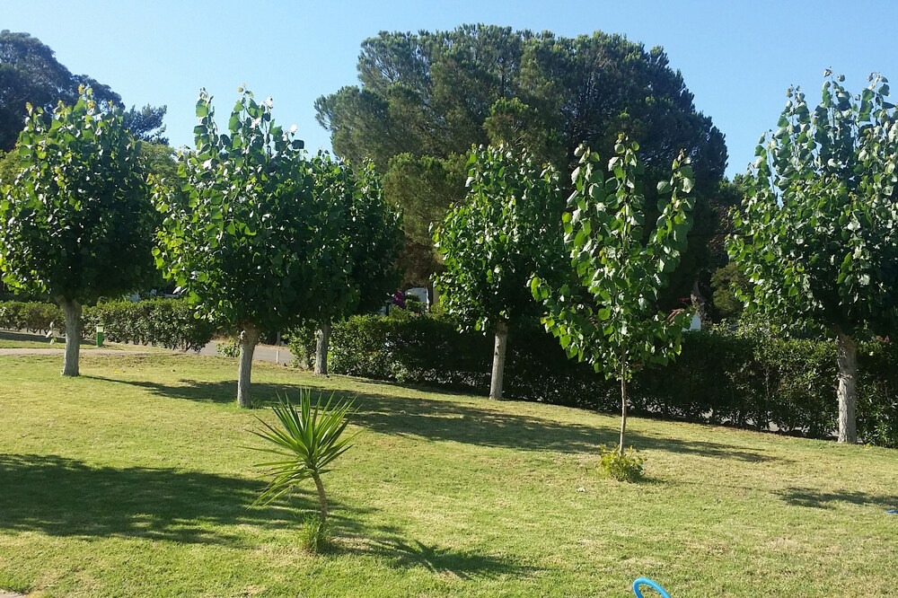Photo of Outdoor in Branqueira