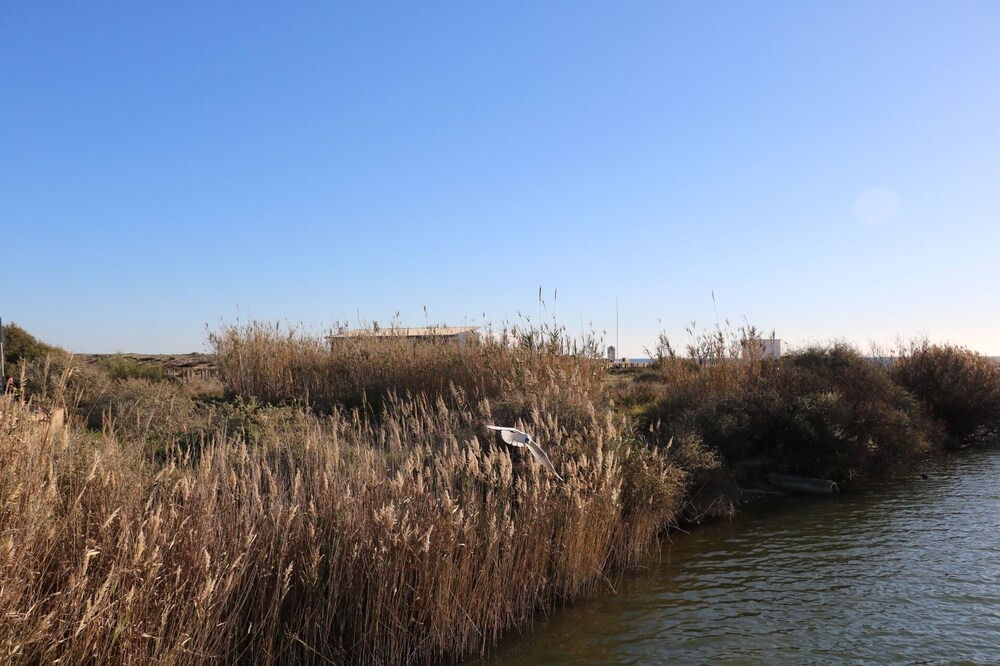 Photo of Outdoor in Salgados