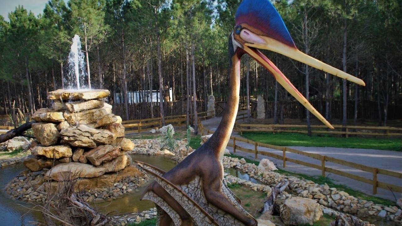 Photo of Outdoor in Atalaia