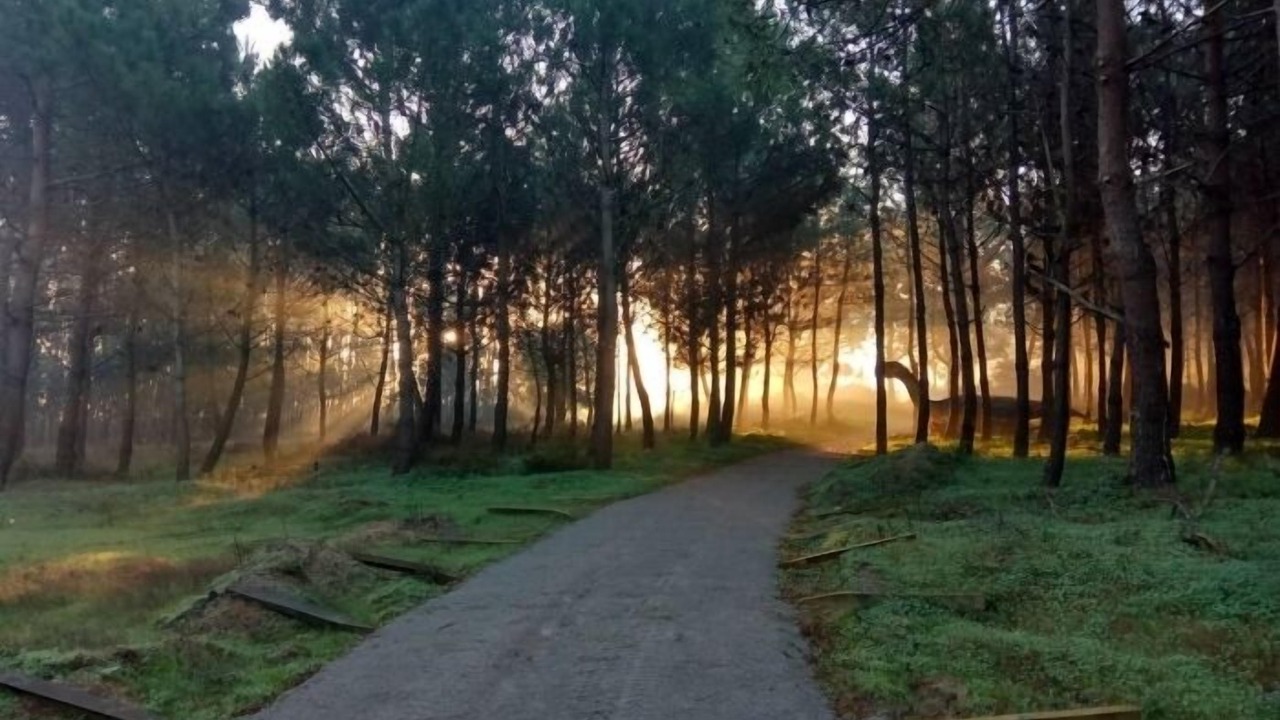 Photo of Outdoor in Atalaia