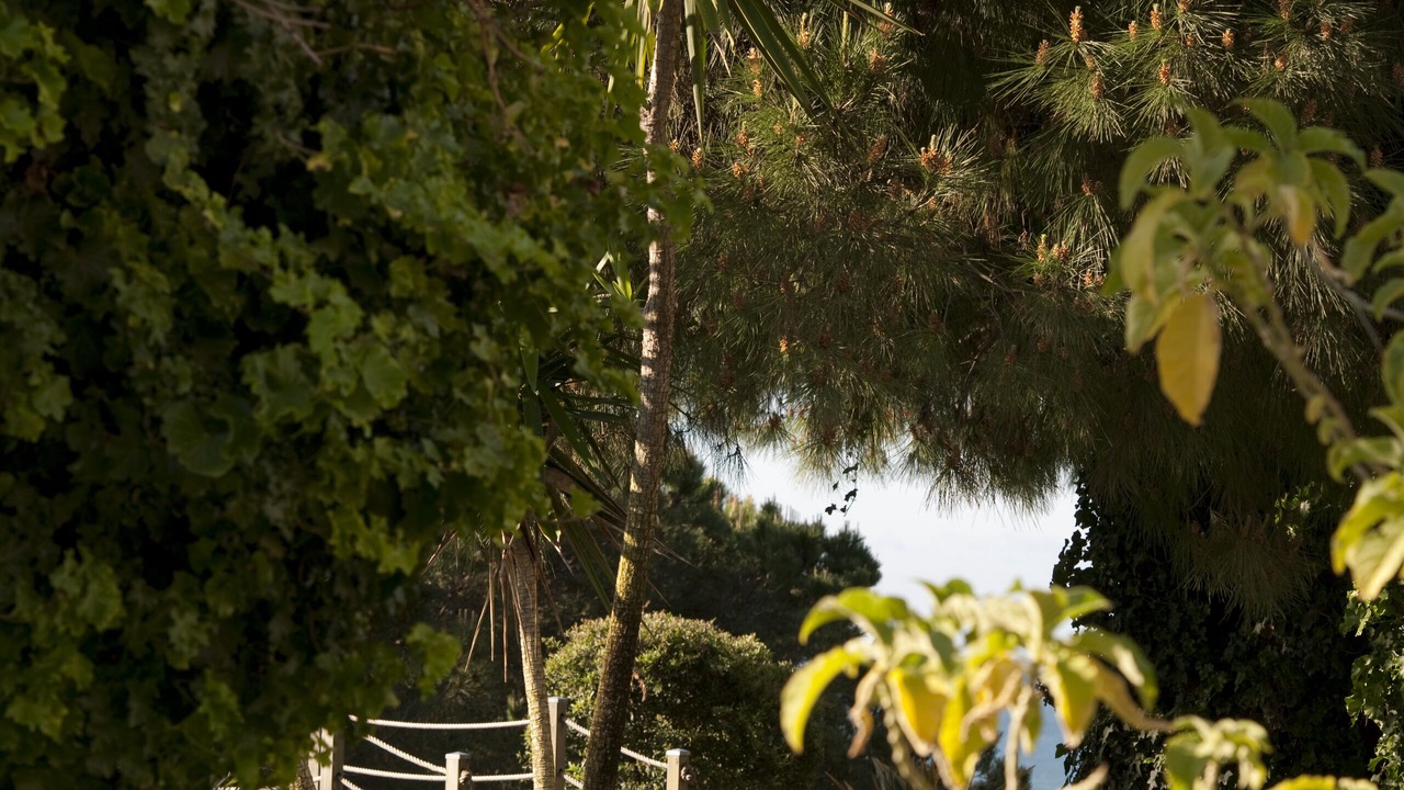 Photo of Outdoor in Olhos D'Agua