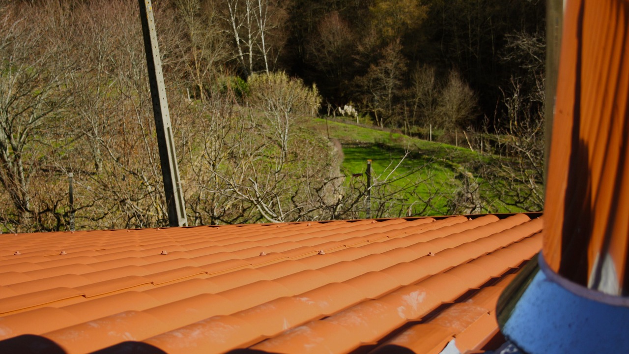 Photo of Outdoor in Vila Real